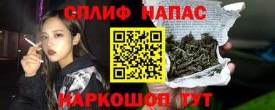 Альфа ПВП Новокубанск