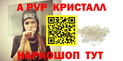 таблы Новозыбков