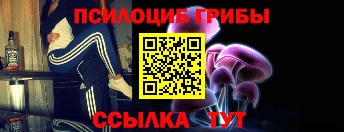 Галлюциногенные грибы MAGIC MUSHROOMS Буйнакск